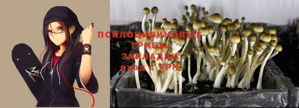 эйфоретик Лиски