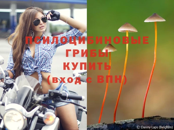 твердый Лихославль