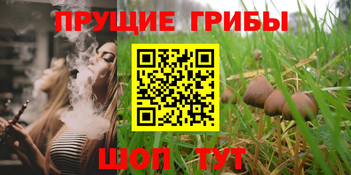 Галлюциногенные грибы GOLDEN TEACHER Полысаево